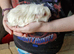 Guinea pig baby girls
