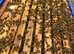Bee hive with bees