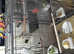 3 bengleas finches and tall cage