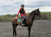 Cracking 13.2hh British Riding Pony