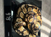 Burmese and ball pythons for sale