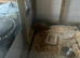 Breeding pair of francolins for sale with eggs