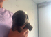 Stunning litter of kc reg border terriers mum and dad can be seen.