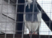 Tumbler & Fancy Pigeons