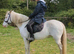 Appy x Dartmoor