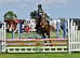 Moidore 16.1/2 Thoroughbred ex-racer