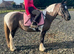Rosie pony