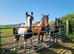 Pearl 2 year old filly for sale