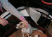6 month old female Jack Russell