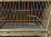 Budgie breeding cages