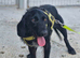 ARWEN &ndash; ONLY 13 MONTHS OLD&hellip; AND ALREADY SURVIVED HELL