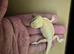 Bearded Dragon Babies Available