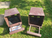 Hen sized rollaway nesting boxes