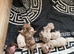 Miniature dachshund
