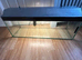 2 musk turtles