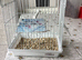 Carry/mule cage