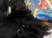Rottweiler puppies