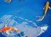 koi for sale from &pound;5