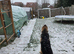 1 year old female shepkita