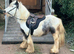 Ride and drive pony