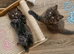 Beautiful Ragdoll Mix Kittens.Ready 9th September