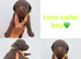 Chocolate/Yellow/Black KC Registered Labrador Retrievers