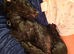 Doxiepoo