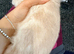 3 month male bsh