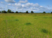 Full grass livery available