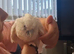 Baby 13 weeks parrot cockatoo