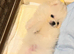 Beautiful Female White Pomeranian Puppy - Fluffy, Healthy & Playful