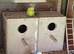 Budgies for sale 7 males