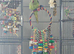 Indian Ringneck
