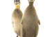 INDIAN RUNNER DUCK HATCHING EGGS - x6 24 hour tracked post