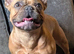 Gorgeous girl available