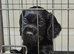 Corcker spaniel