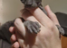 RARE Sphinx Cross Mixed Litter