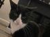 2 Beautiful 6 year old male cats