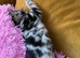 Beautiful Tobby Kittens Looking for Loving Homes ️