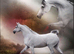 Arabian mare 15 hands