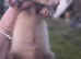 Ferret kits hobs and Jill's available