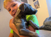 Blue whippet puppy