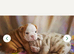 5 girl puppies