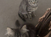 british shorthair x kittens