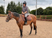15,1 mare, 4 year old