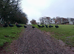 norfolk black turkey hatching eggs
