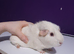 2 female guinea pigs and full cage set up &pound;70