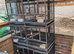 Breeding cages