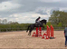 Beautiful ROR Eligible, Dark Bay, 16.1h, Gelding - all rounder type.