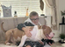 American bully pocket